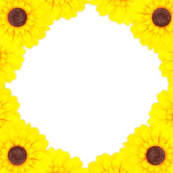 sunflower frame