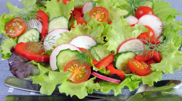 Summer salad of fresh vegetables close-up