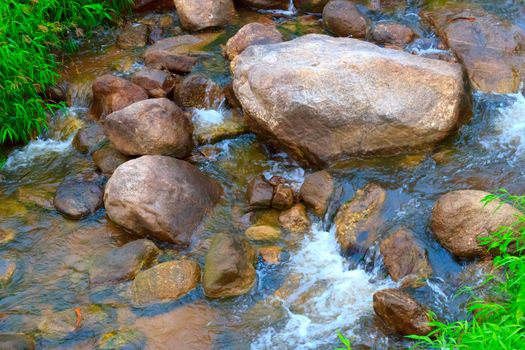 Forest creek running through the stones.