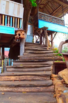 The stairs to the tree house.