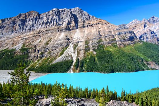 Bright blue glacial waters of Peyto Lake of Banff National Park in Canada.