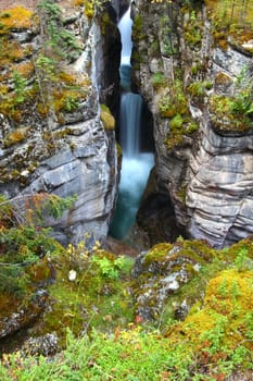 Lush vegetation surrounds a waterfall through Maligne Canyon of Jasper National Park in Canada.