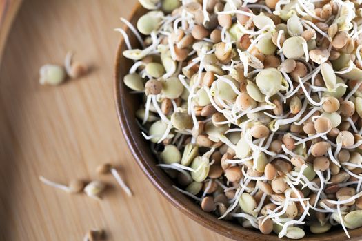 Mixed brown and green sprouted lentils in a wooden bowl.