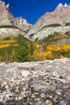 Cascading water flows down of the pine covered cliffs of Mount Wilson in Banff National Park - Canada.