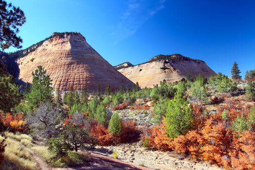 Checkerboard Mesa is a rock formation in the eastern portion of Zion National Park in Utah.