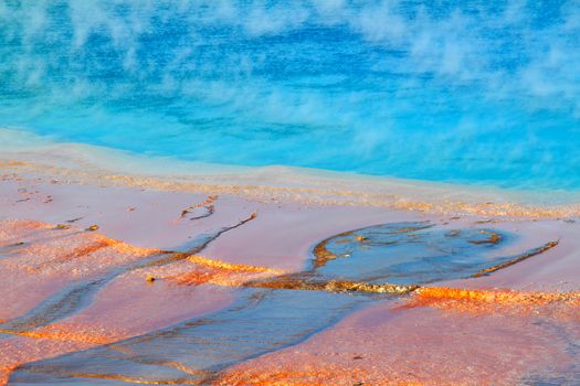 Steam rises off the amazing colors of Grand Prismatic Spring in Yellowstone National Park - USA.