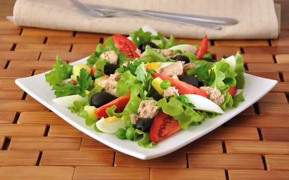 Vegetable salad with tuna, egg and olives