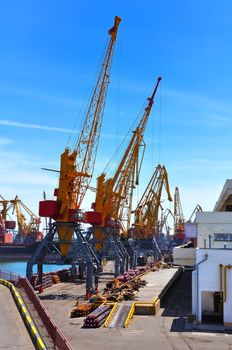 Sea commercial port, unloading cargo