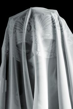 The mysterious girl in a mask with the face covered by the veil. Black and white photo