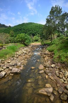 thailand national park jungle river