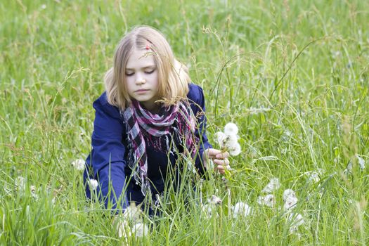 little girl on the meadow in spring day 