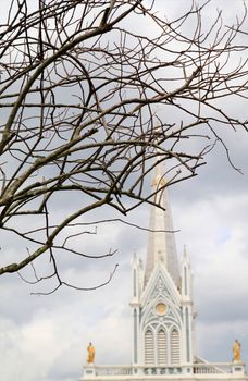 Branch of tree with White Cathedral church