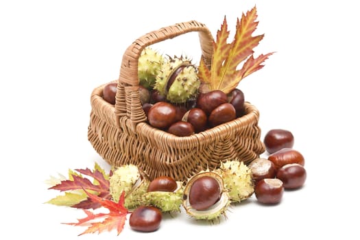 basket full of chestnuts and autumnal leaves
