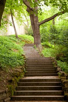 stone stairs in the park