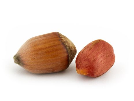 Hazel nuts isolated on the white background