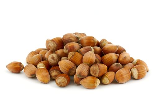 Hazel nuts isolated on the white background