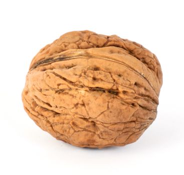 Walnut isolated on white background