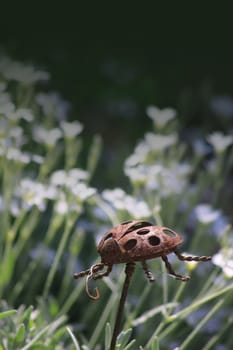 A garden ornament in the form of a rusty ladybird made of steel, set against a floral garden background. Copy space available to top of image.