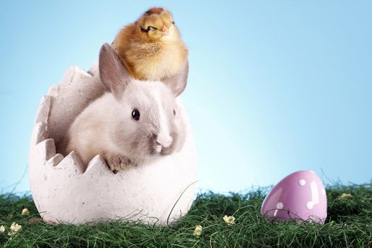 easter animals