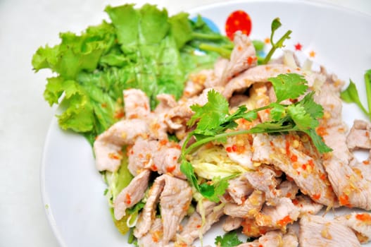 Spicy pork salad , Thai style food Asia