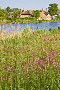 Dutch country landscape at the waterside with farm and fields with springflowers 