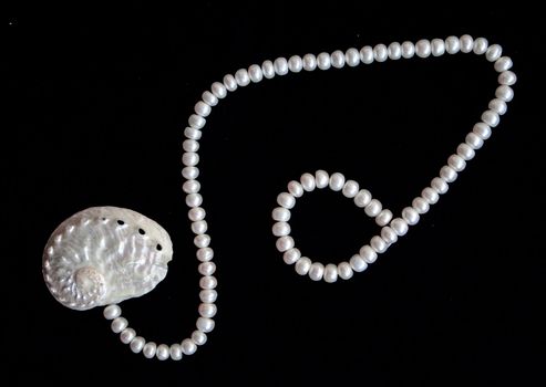 White pearls and nacreous cockleshell on the black velvet background 