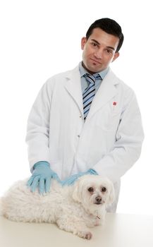 A vet stands with a sick animal brought in for treatment.