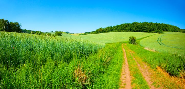 green field on blue sky