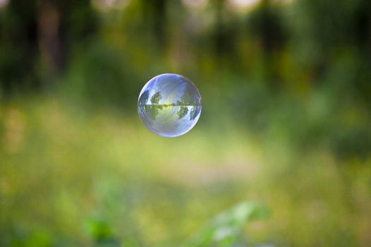 transparent bubble with reflections on a green organic background