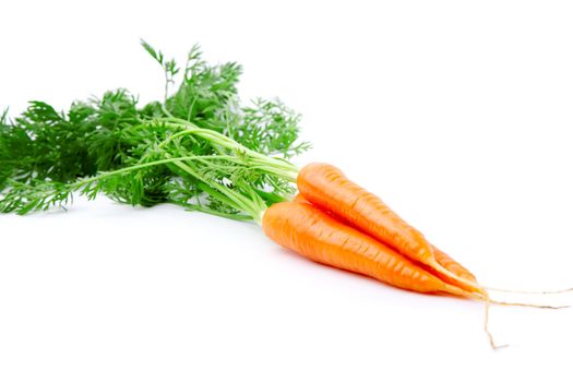 fresh carrot fruits with green leaves, isolated on white background