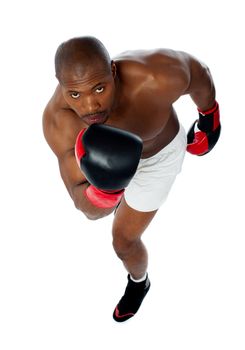 Portrait of aggressive male boxer isolated against white background