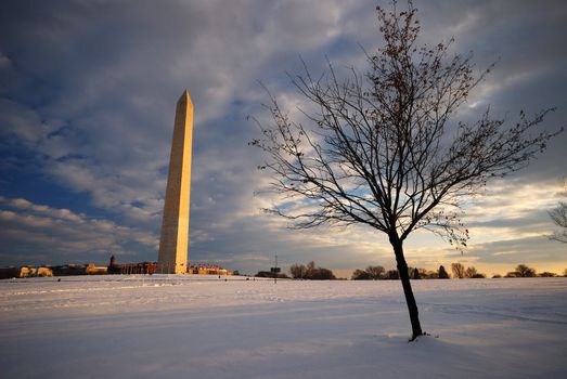 washington monument in washington DC in snow 