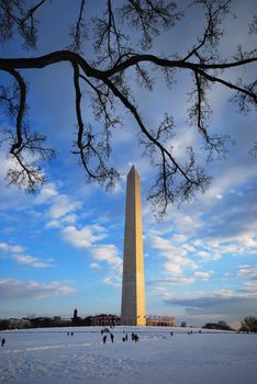 washington monument at washington DC in winter with snow