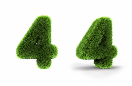 Grass number four, isolated on white background, 4