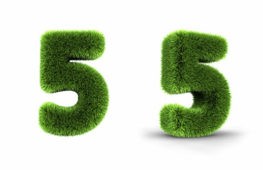 Grass number five, isolated on white background, 5