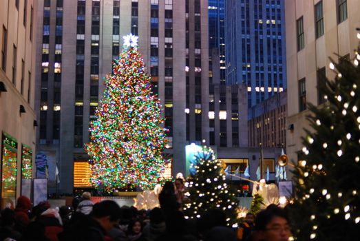 christmas tree at new york city