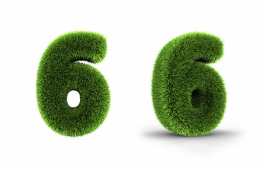 Grass number six, isolated on white background, 6