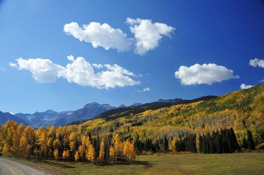 colorado landscape in fall with yellow aspen trees