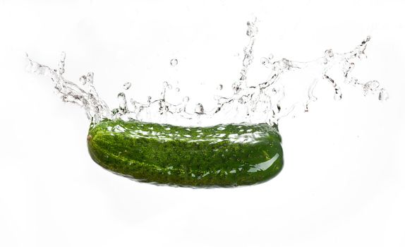fresh ripe cucumber with water splash over white