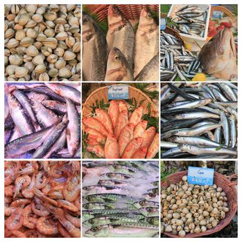 XL collage made from 9 high resolution fish market images