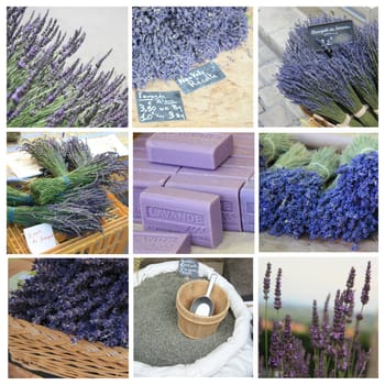 XL-collage made from 9 different high resolution lavender related images