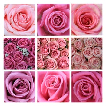 XL-collage made from 9 different high resolution pink rose images