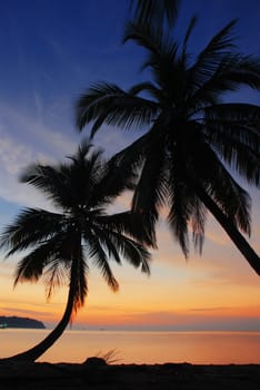 two of coconut tree at sunset sky from Thailand beach