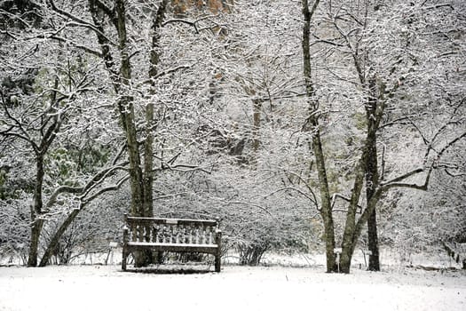 A bench in a park in snow day
