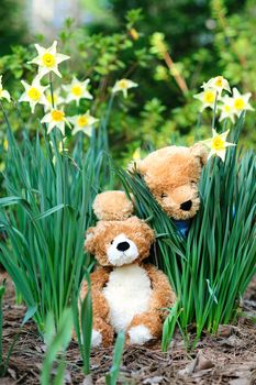 Two bear dolls were playing in a flower garden