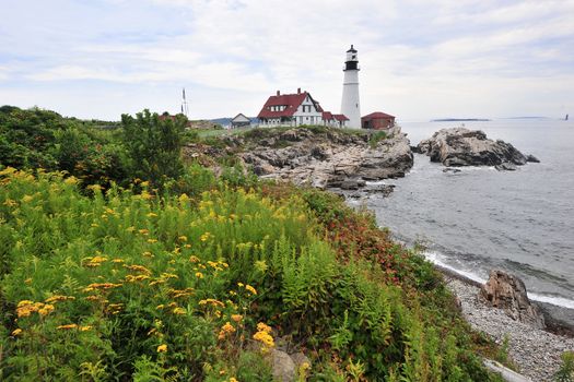 portland lighthouse in maine with yellow flowers