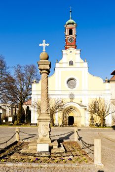 monastery's church of Virgin Mary assumption, Police nad Metuji, Czech Republic