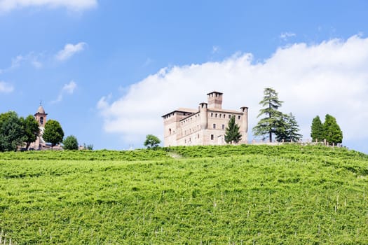 Grinzane Cavour Castle with vineyard, Piedmont, Italy