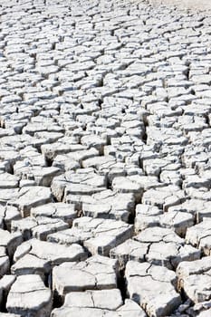 dry land, Parc Regional de Camargue, Provence, France