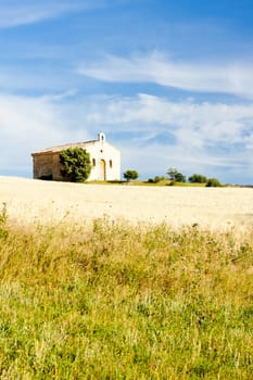 chapel with grain field, Plateau de Valensole, Provence, France